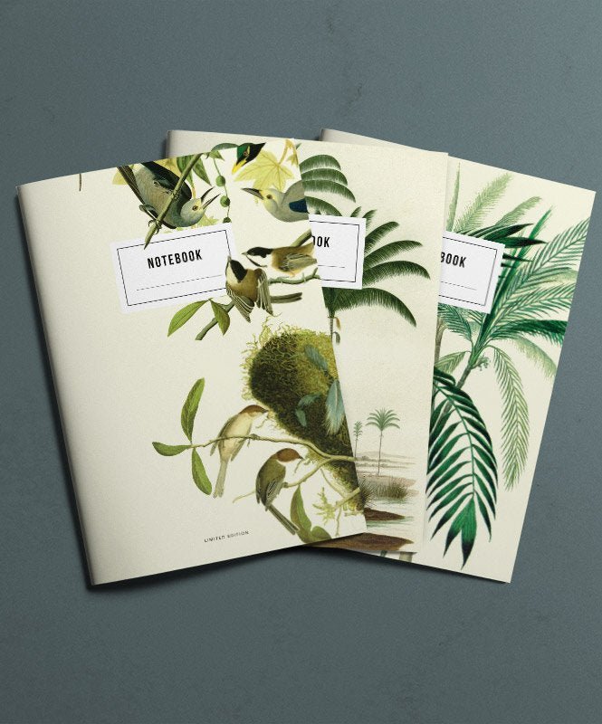 Pack Cadernos Natureza - Cadernos Catita illustrations