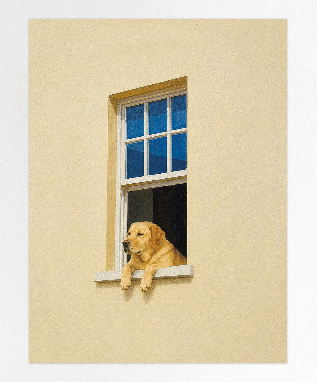 Ventana Viva
